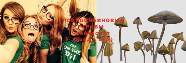 трава Шарыпово