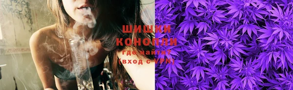 метадон Гусь-Хрустальный
