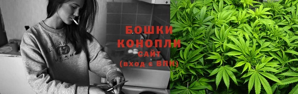 метадон Гусь-Хрустальный