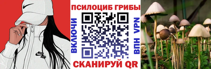 Псилоцибиновые грибы мухоморы  купить наркотик  Перевоз 