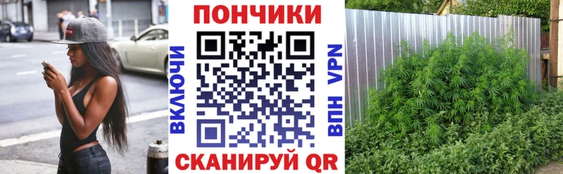 Каннабис сатива  Перевоз 
